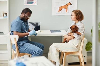 Um veterinário atendendo um cachorro de pequeno porte