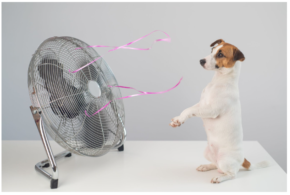 Um cão de pé na frente de um ventilador.