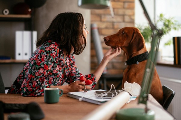 Uma mulher a mesa com seu cão sentados de frente um para outro, com uma tigela de morangos.