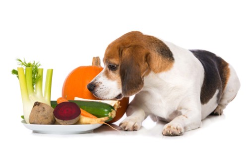 Um cachorro sentando olhando para um prato que contém diversas verduras, legumes e vegetais.