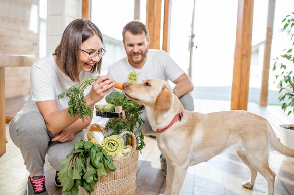 Um casal com um cachorro, com uma cesta de vegetais, oferecendo uma cenoura.