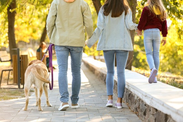 Uma família de costas passeando, composta de uma criança, os pais e um cão.