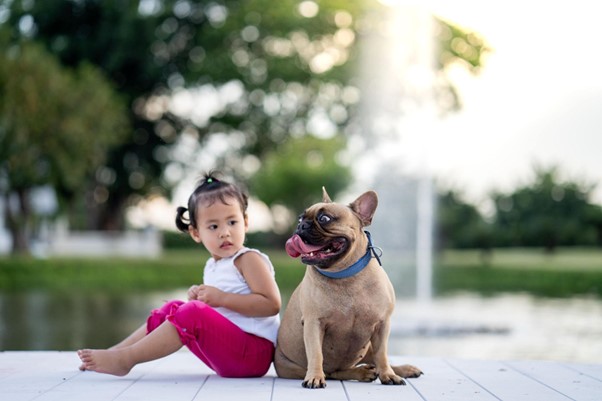 Um Bulldog e uma criança sentados.