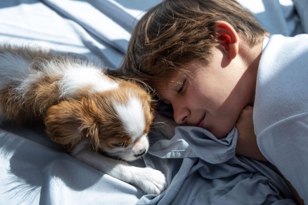 Um filhote de Cocker Spaniel e uma criança deitados.