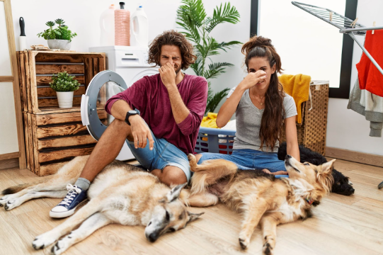 Um casal de humanos sentados, com as mãos tapando do nariz, em baixo dois cães deitados.