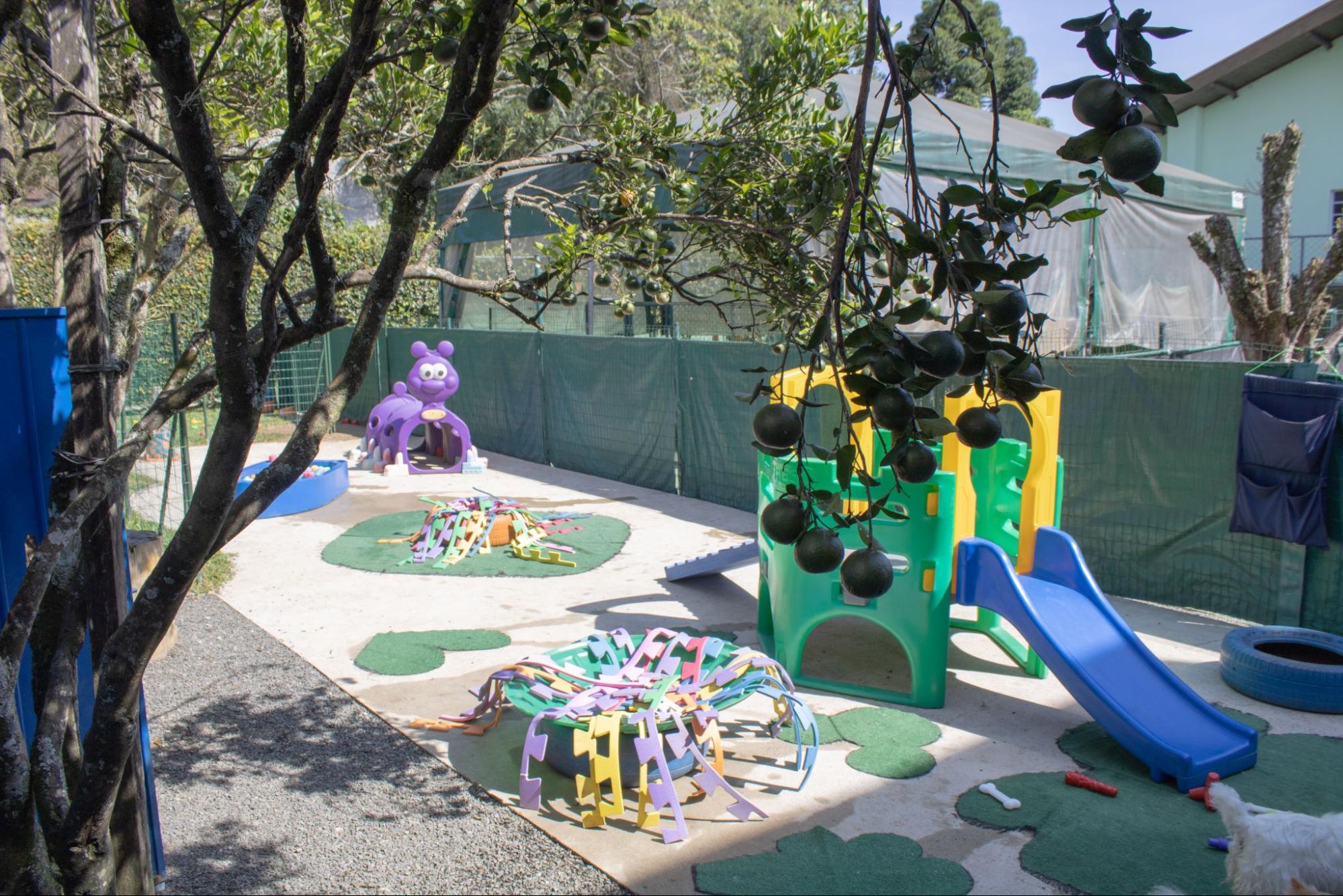 Uma creche para cachorros com área verde e diversos brinquedos para enriquecimento ambiental. 
