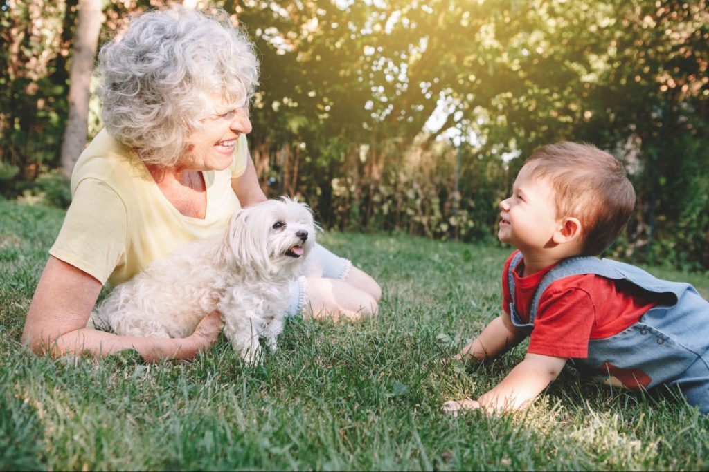 Uma senhora idosa com um cão da raça Maltês e um bebê. 