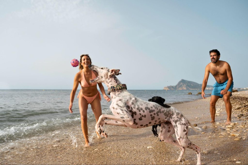 Um cachorro curtindo a praia com dois humanos.