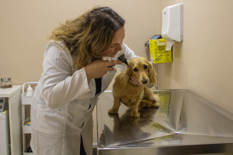 ClubePets-15 de março de 2024 110